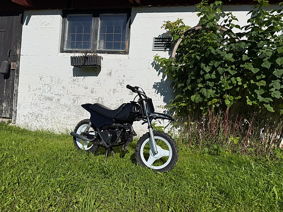 Yamaha PW50 2 of 4
