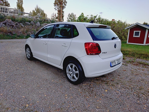 Volkswagen Polo 6 of 7