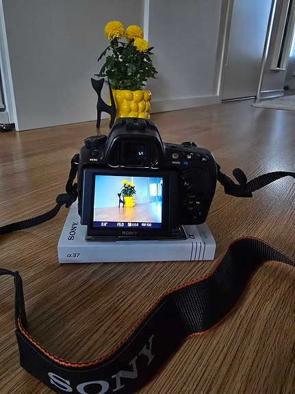 Sony Sony Alpha 37 (SLT-A37)