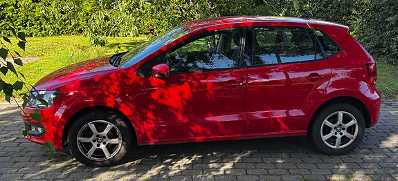 Volkswagen Polo 5 of 12