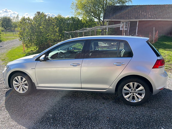 Volkswagen Golf VII 3 of 14