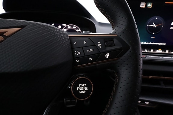 Cupra Terramar 14 of 19