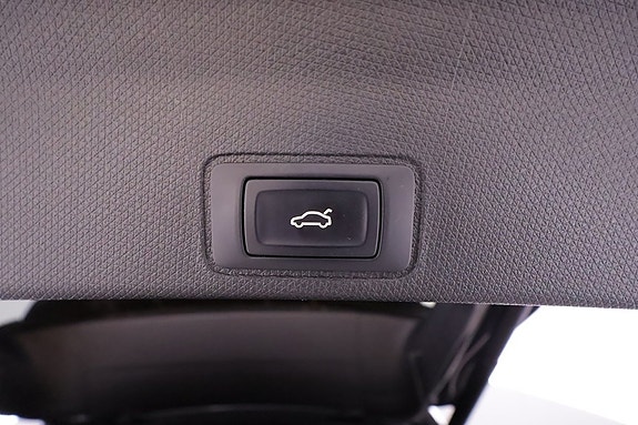 Cupra Terramar 8 of 19