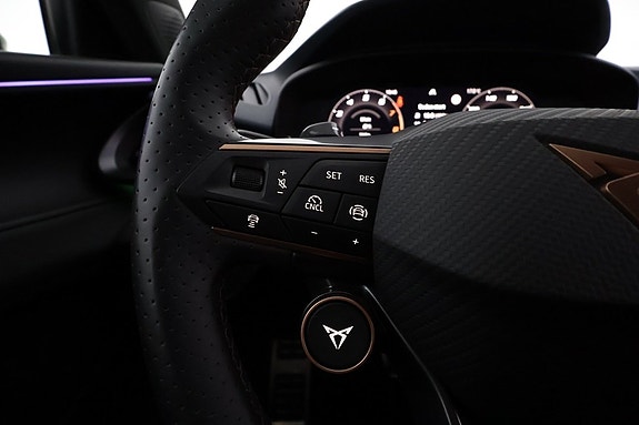 Cupra Terramar 13 of 19