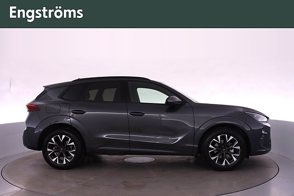 Cupra Terramar 2 of 19