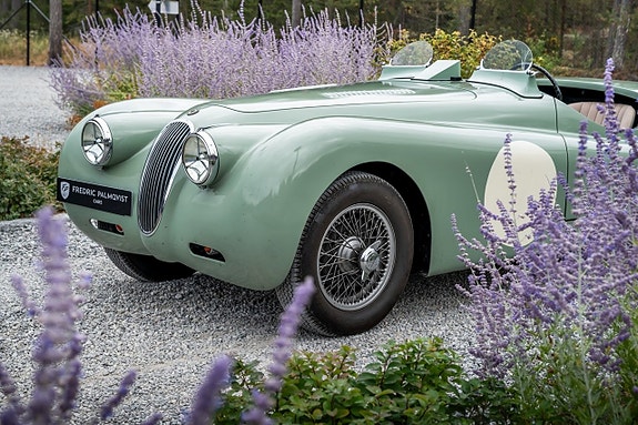 Jaguar XK 2 of 12