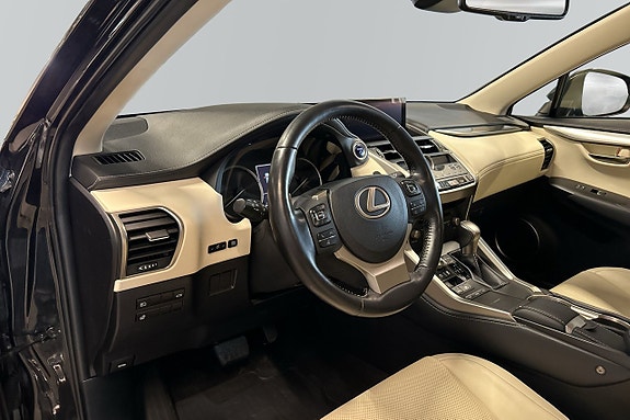 Lexus NX300h 7 of 13