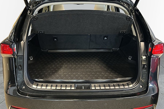Lexus NX300h 13 of 13
