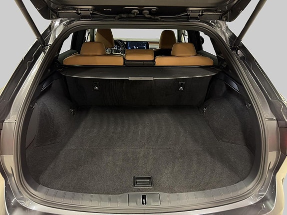 Lexus RX350h 11 of 22