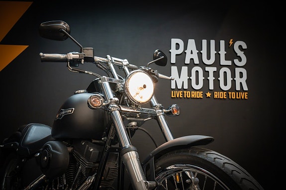 Harley-Davidson Night Train (FXSTB) 9 of 22