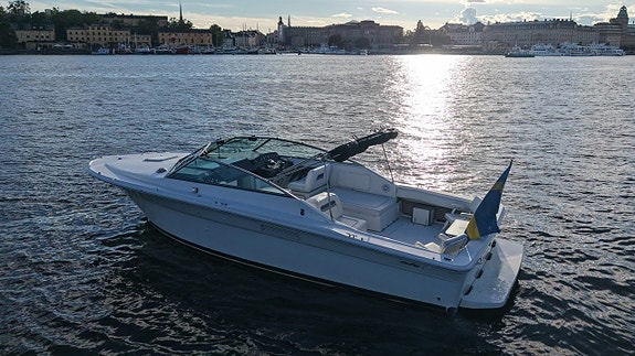 Sea Ray 31 Amberjack -1992 4 of 26