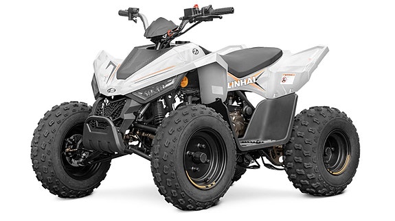 Linhai ATV 110 EFI 3 of 3