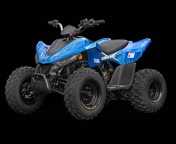 Linhai ATV 110 EFI