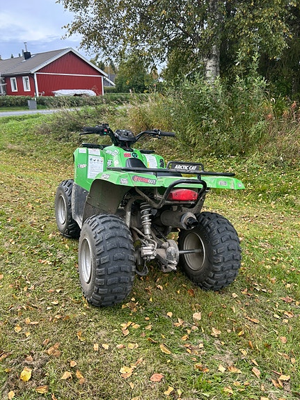 Arctic-cat 4 of 4