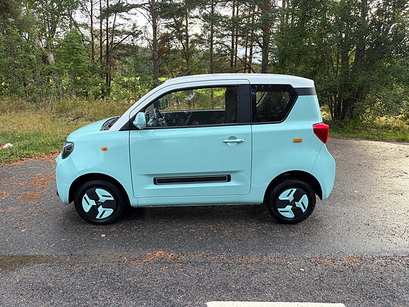 Övriga BAW Pony 16 of 18