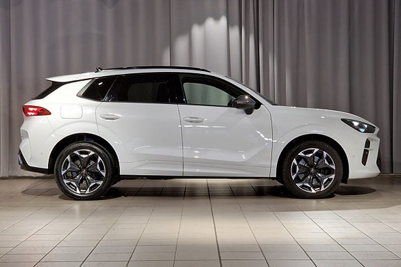 Cupra Terramar 3 of 17
