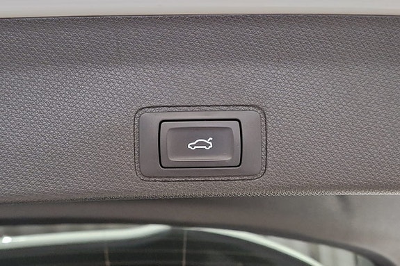 Cupra Terramar 6 of 17