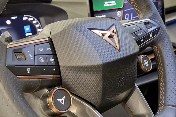 Cupra Terramar 11 of 17