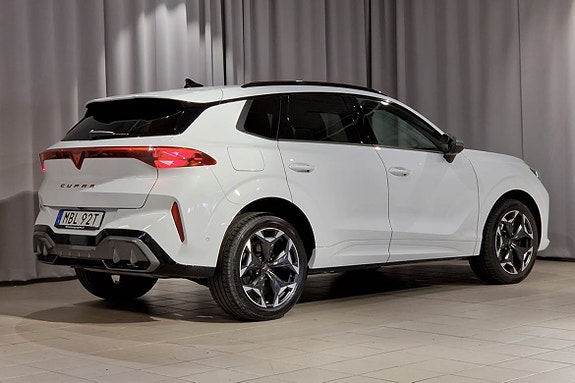 Cupra Terramar 4 of 17