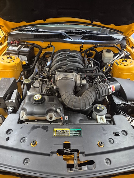 Ford Mustang 6 of 6