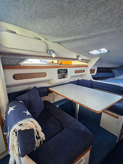 Fin Sea Ray 270/290 DA 8 of 12