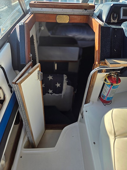 Fin Sea Ray 270/290 DA 4 of 12