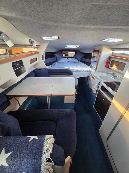Fin Sea Ray 270/290 DA 9 of 12