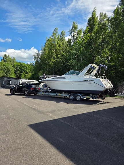 Fin Sea Ray 270/290 DA 12 of 12