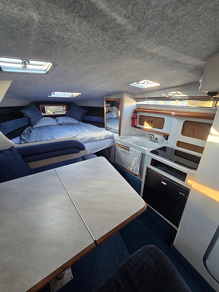 Fin Sea Ray 270/290 DA 7 of 12