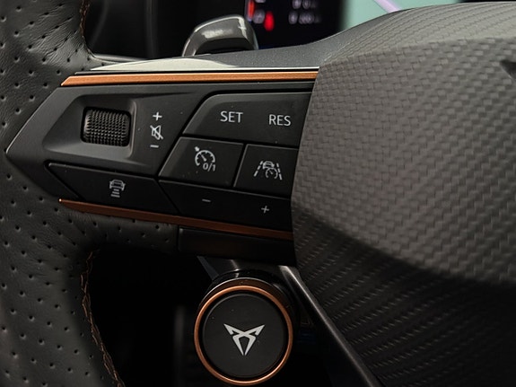 Cupra Formentor 19 of 30
