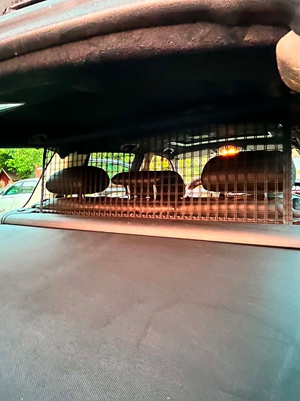Rover 75 7 of 12