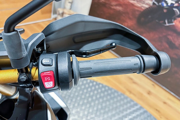 BMW F 450 GS |Style Exclusive|Ekerhjul  2.50x19” & 3.50x17”| 9 of 9