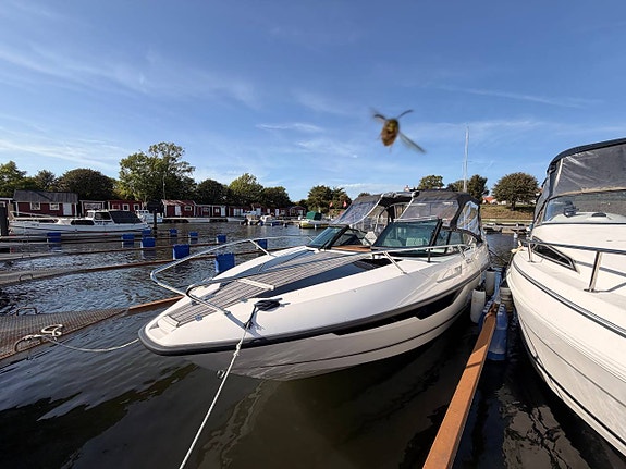 Flipper 800 DC, 2024 - Yamaha 300hk endast 100 h 2 of 12