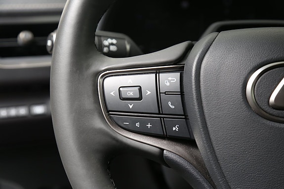 Lexus UX300h 19 of 25
