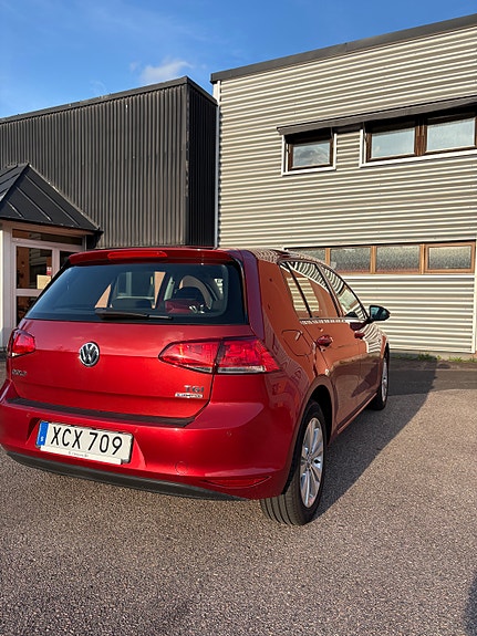 Volkswagen Golf VII 6 of 8