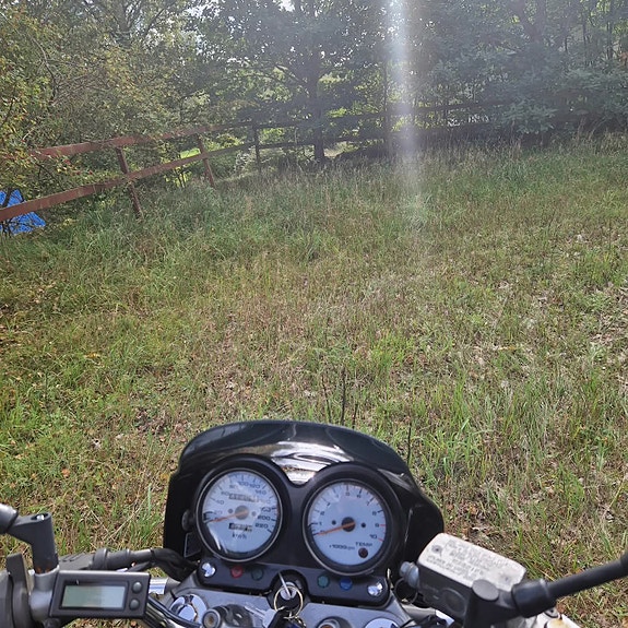 Suzuki VX800 3 of 3