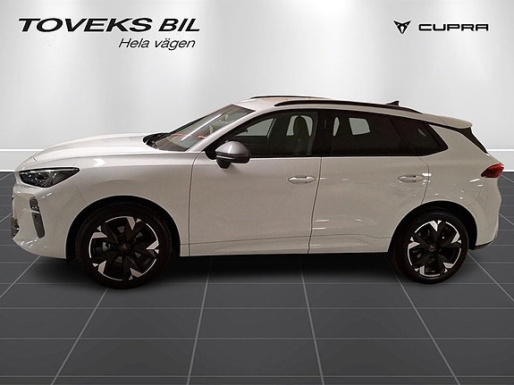 Cupra Terramar 4 of 15