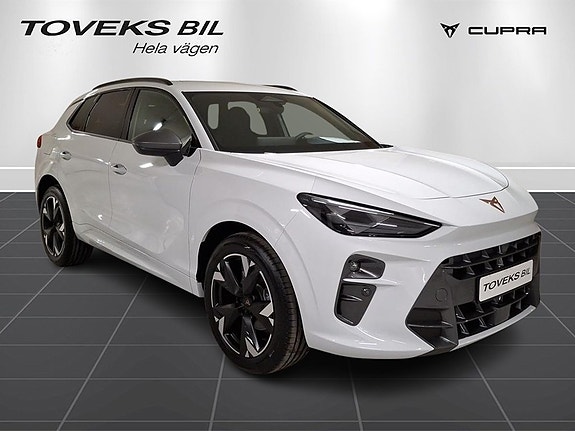 Cupra Terramar 5 of 15