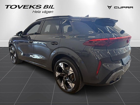Cupra Terramar 5 of 20