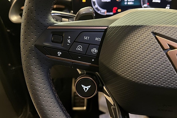 Cupra Terramar 21 of 22