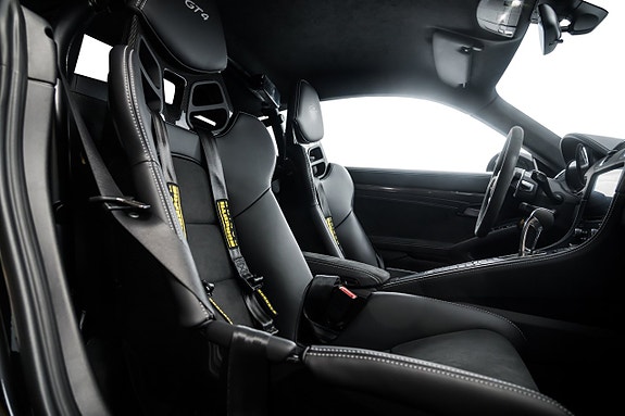 Porsche 718 Cayman GT4 13 of 17