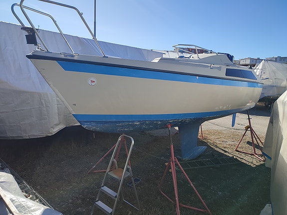 Maxi 77 10 of 13