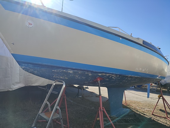 Maxi 77 8 of 13