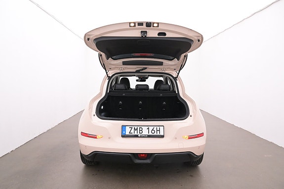 ORA Funky Cat 23 of 27