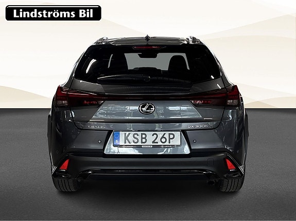 Lexus UX300h 7 of 17