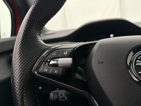 Skoda Enyaq RS 17 of 30