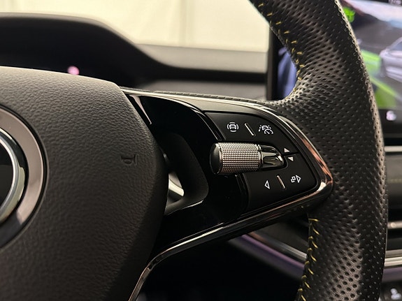 Skoda Enyaq RS 19 of 30