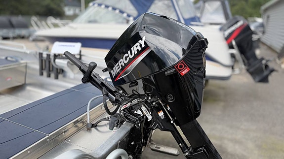 Linder 445 Basic / Mercury F20 / MotorGuide xi5 3 of 8