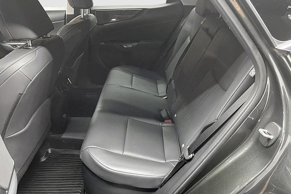 Lexus NX450h+ 14 of 16
