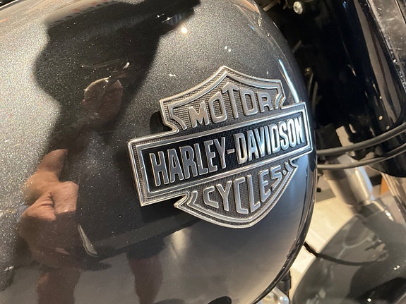 Harley-Davidson Softail Slim 1.7 Twin Cam 103B,2014 10 of 10